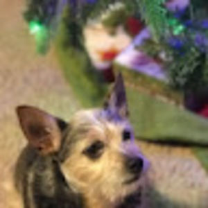 Meet your Posher, Brandy